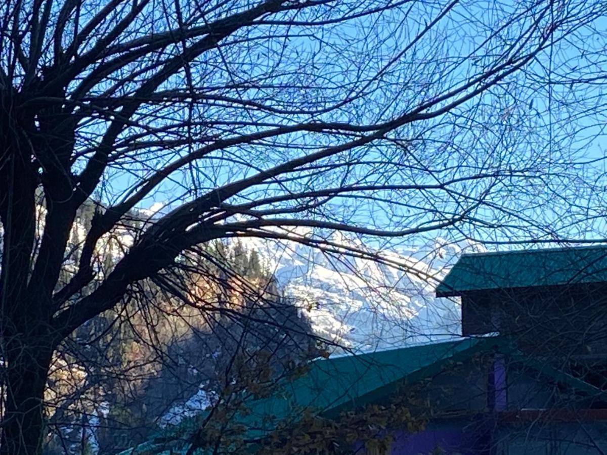 Solang Valley Resort Manali  Exterior photo