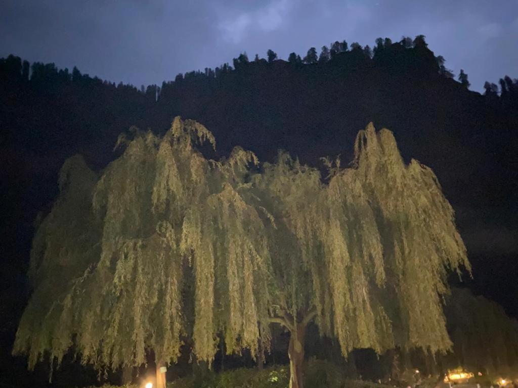 Solang Valley Resort Manali  Exterior photo
